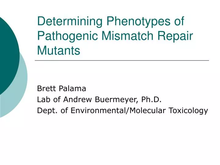 determining phenotypes of pathogenic mismatch repair mutants