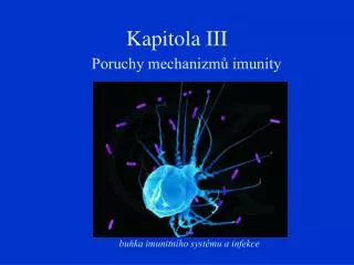 kapitola iii