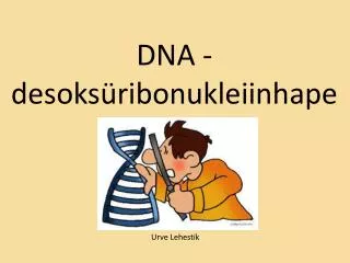 dna desoks ribonukleiinhape