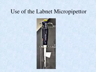 Use of the Labnet Micropipettor