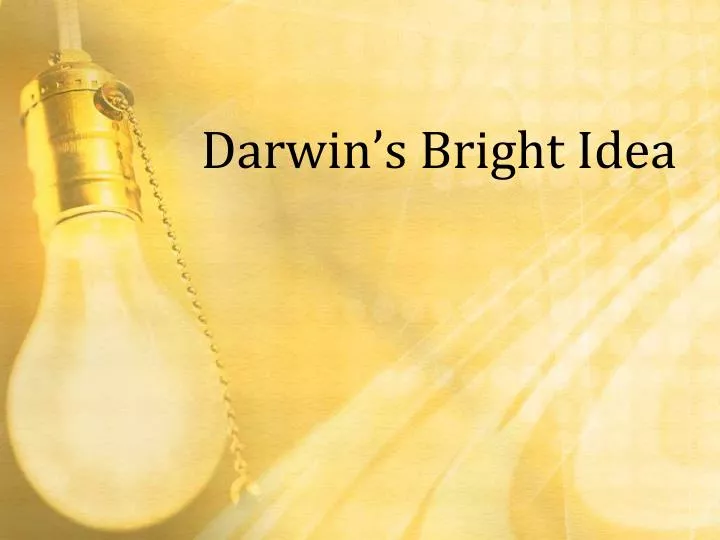 darwin s bright idea