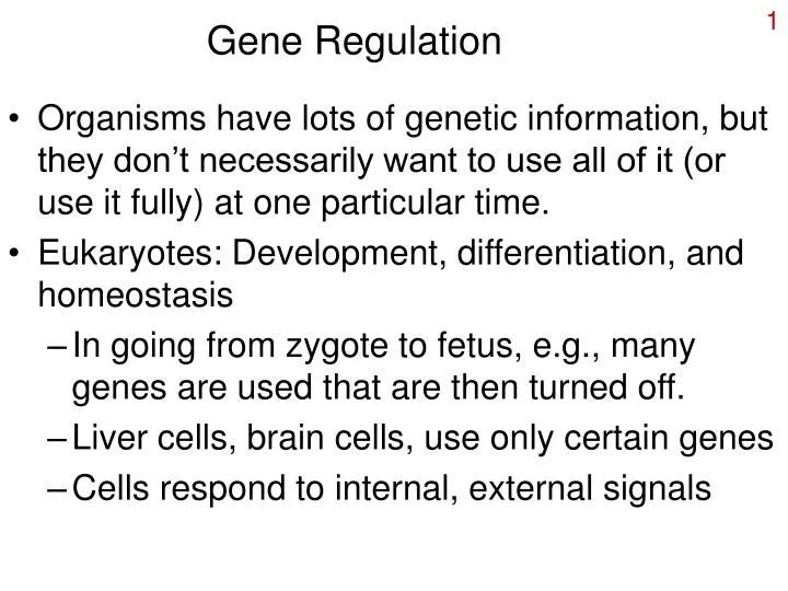 gene regulation