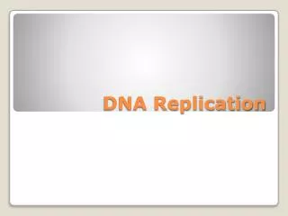 DNA Replication