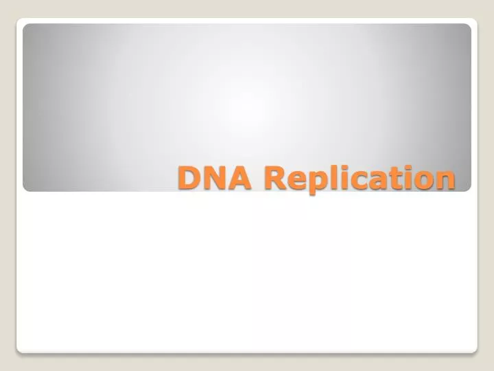 dna replication