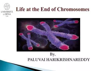 Life at the End of Chromosomes