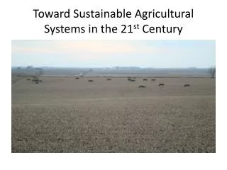 Toward Sustainable Agricultural Systems in the 21 st Century
