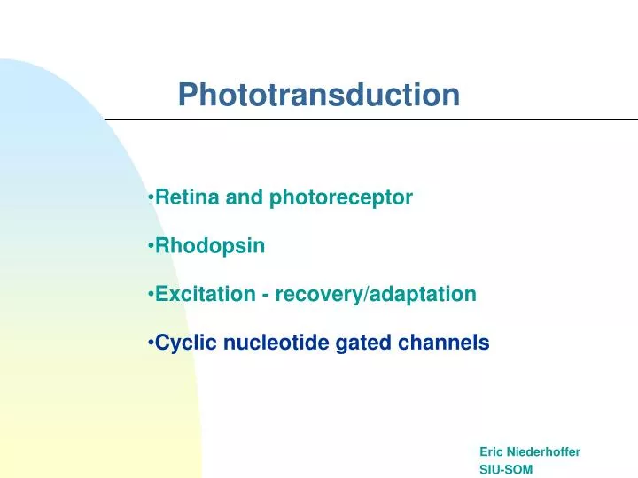 phototransduction