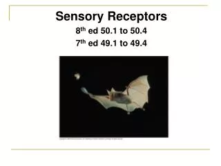 Sensory Receptors 8 th ed 50.1 to 50.4 7 th ed 49.1 to 49.4