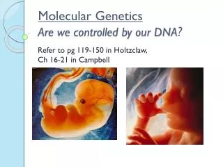 Molecular Genetics Are we controlled by our DNA ?