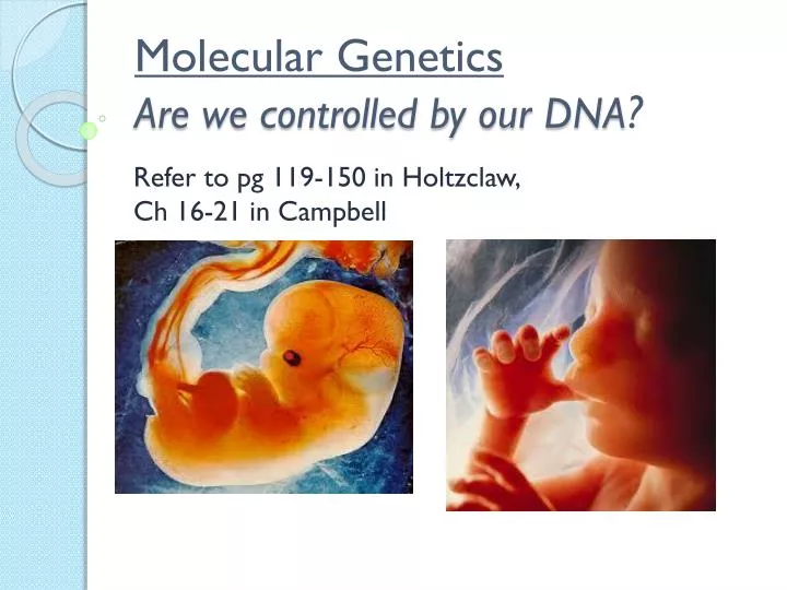 molecular genetics are we controlled by our dna