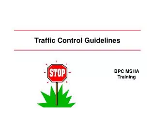 Traffic Control Guidelines