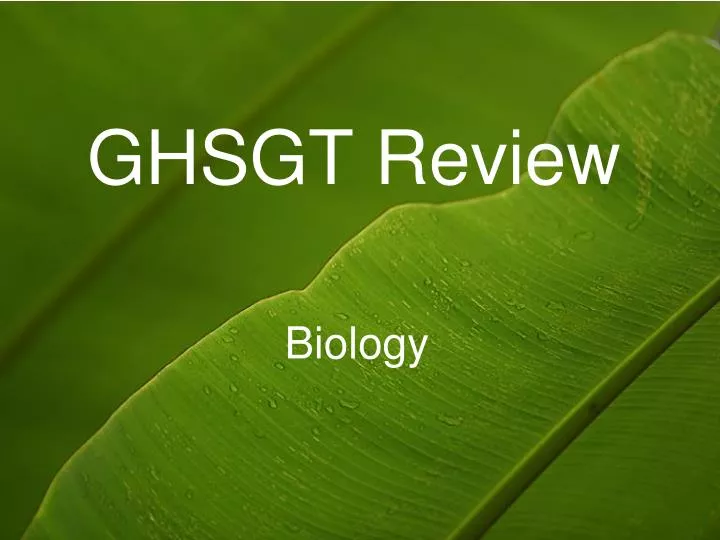 ghsgt review