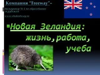 freeway 1 www studentway ru