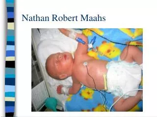 Nathan Robert Maahs