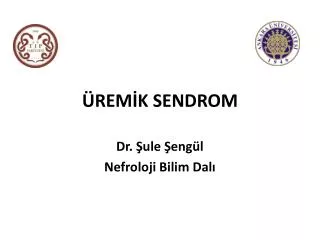 rem k sendrom