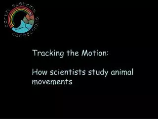 Tracking the Motion: How scientists study animal movements