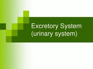 Excretory System (urinary system)