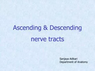 Ascending &amp; Descending nerve tracts