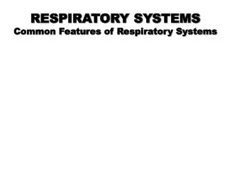 RESPIRATORY SYSTEMS Common Features of Respiratory Systems