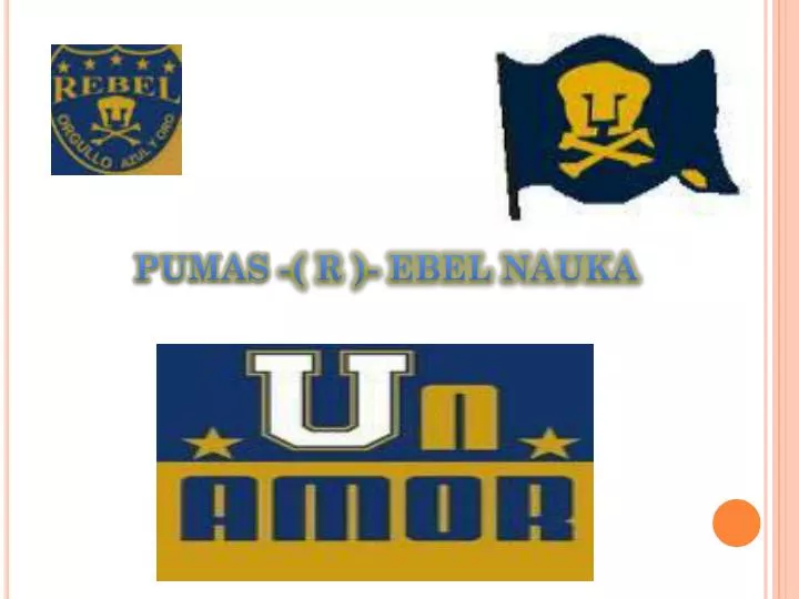 pumas r ebel nauka