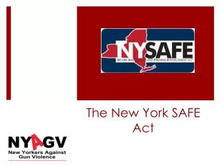 The New York SAFE Act