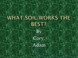 What soil works the best?
