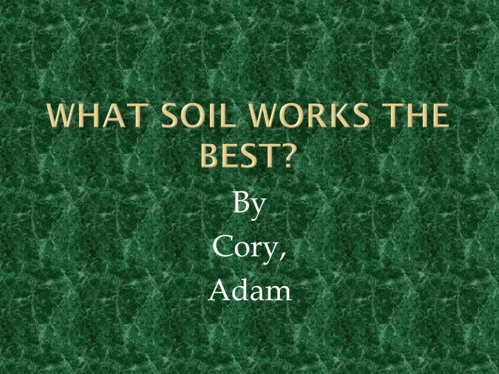 what soil works the best