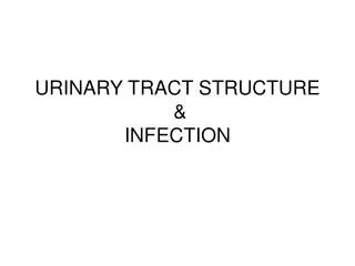 URINARY TRACT STRUCTURE &amp; INFECTION