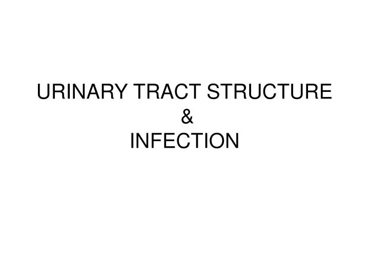 urinary tract structure infection