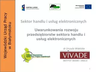 sektor handlu i us ug elektronicznych