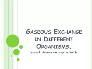 Gaseous Exchange in Different Organisms.