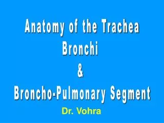 Anatomy of the Trachea Bronchi &amp; Broncho-Pulmonary Segment