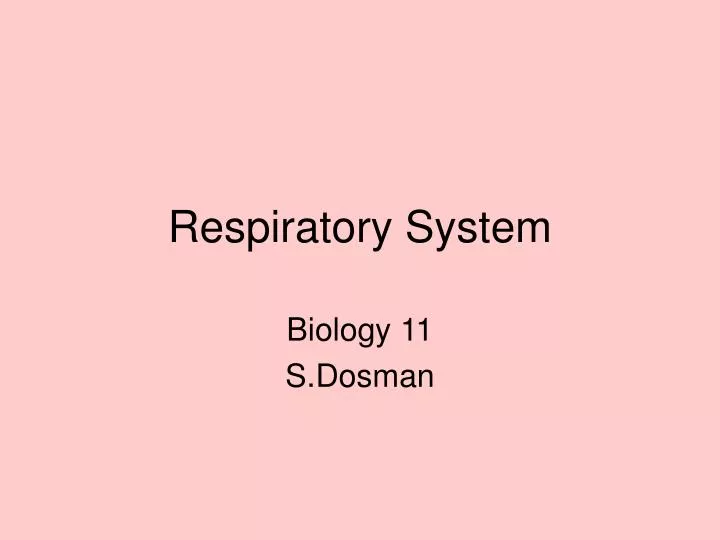 respiratory system