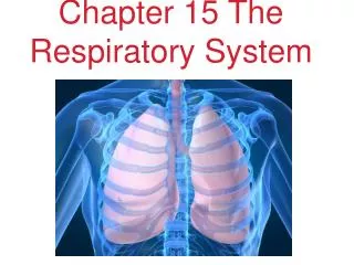 Chapter 15 The Respiratory System