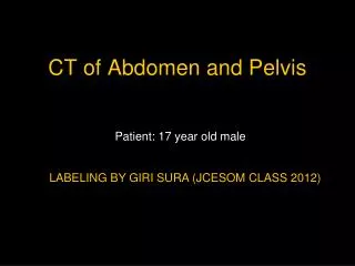 CT of Abdomen and Pelvis