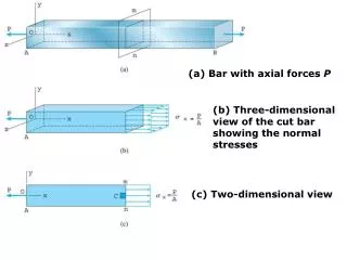 (a) Bar with axial forces P