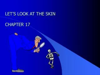 LET’S LOOK AT THE SKIN CHAPTER 17