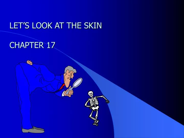 let s look at the skin chapter 17