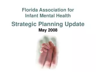 Florida Association for Infant Mental Health Strategic Planning Update May 2008