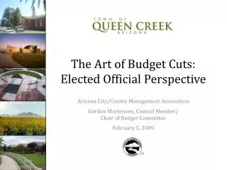 The Art of Budget Cuts: Elected Official Perspective