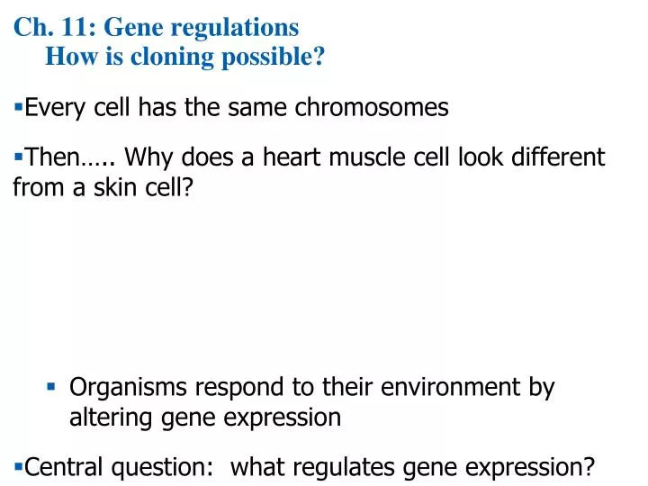 ch 11 gene regulations how is cloning possible
