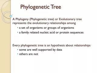 phylogenetic tree