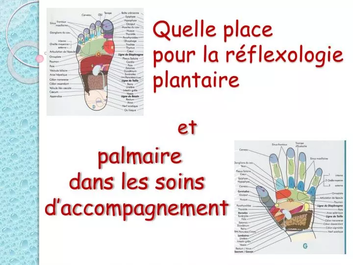 quelle place pour la r flexologie plantaire