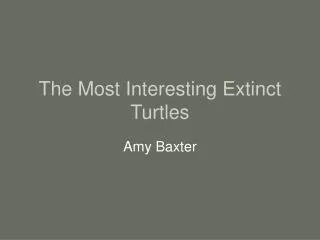 The Most Interesting Extinct Turtles