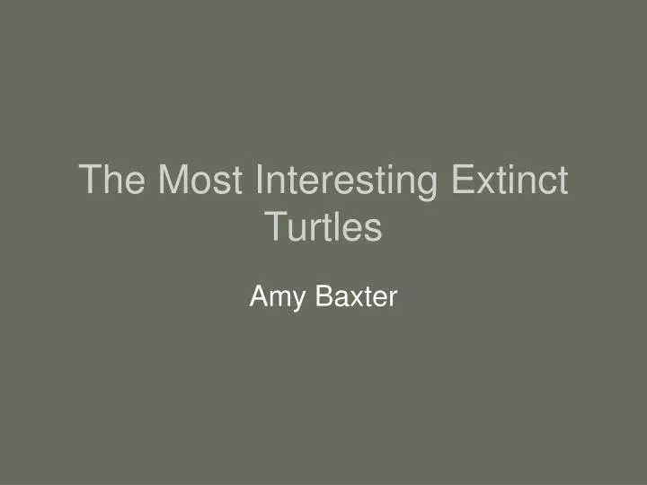 the most interesting extinct turtles