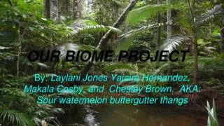 OUR BIOME PROJECT