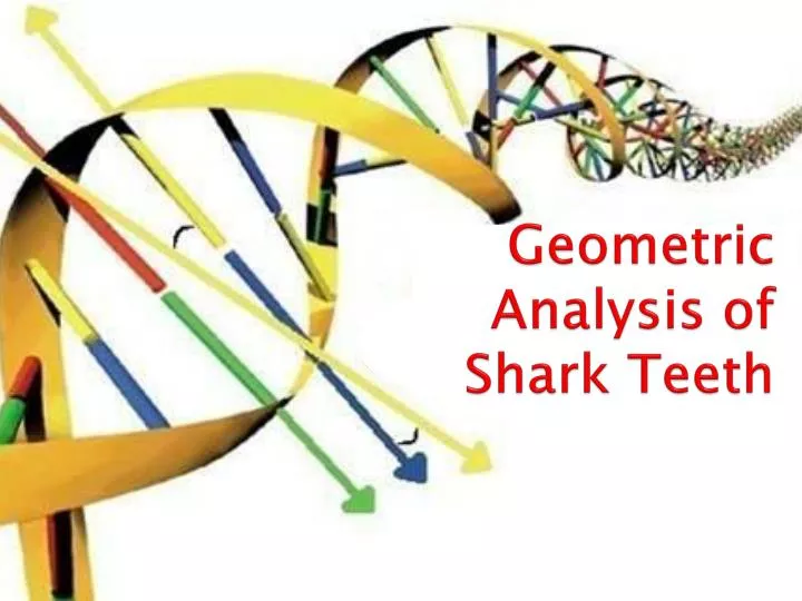 geometric analysis of shark teeth