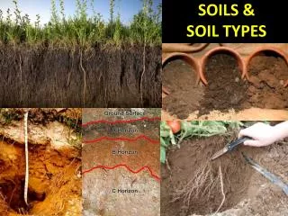 SOILS &amp; SOIL TYPES