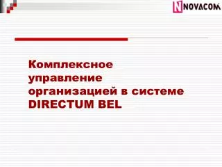 Комплексное управление организацией в системе DIRECTUM BEL