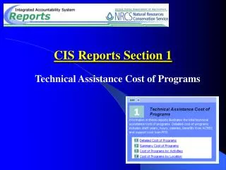 CIS Reports Section 1